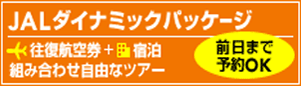 JALダイナミックパッケージ 往復航空券+宿泊 組み合わせ自由なツアー