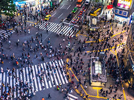Shibuya Crossing